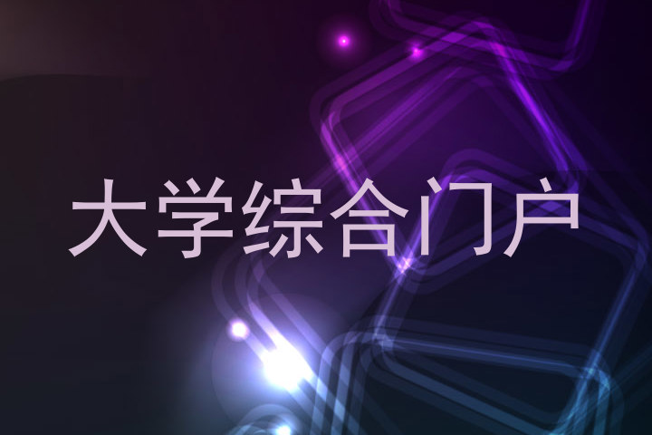 大学综合门户