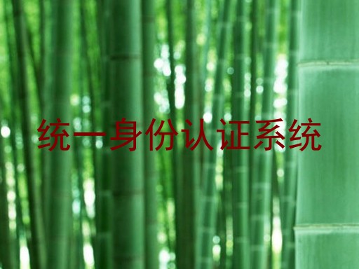 统一身份认证系统