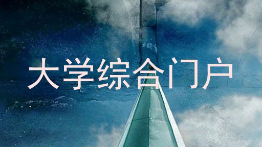 大学综合门户