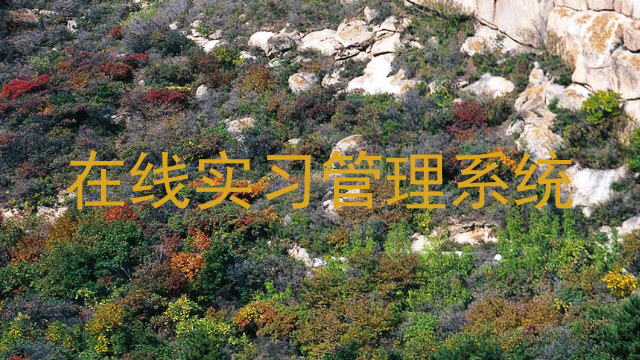 在线实习管理系统
