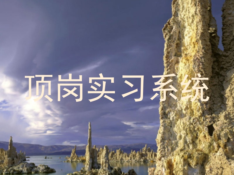顶岗实习系统