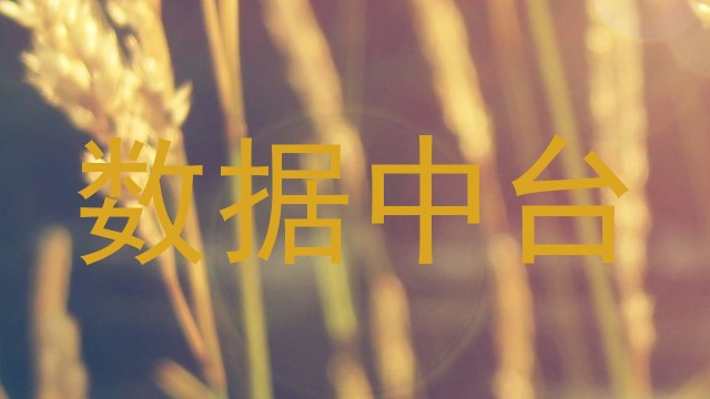 数据中台