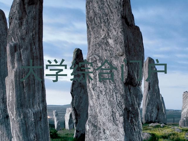 大学综合门户