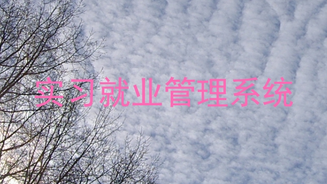 实习就业管理系统