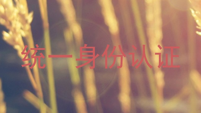 统一身份认证