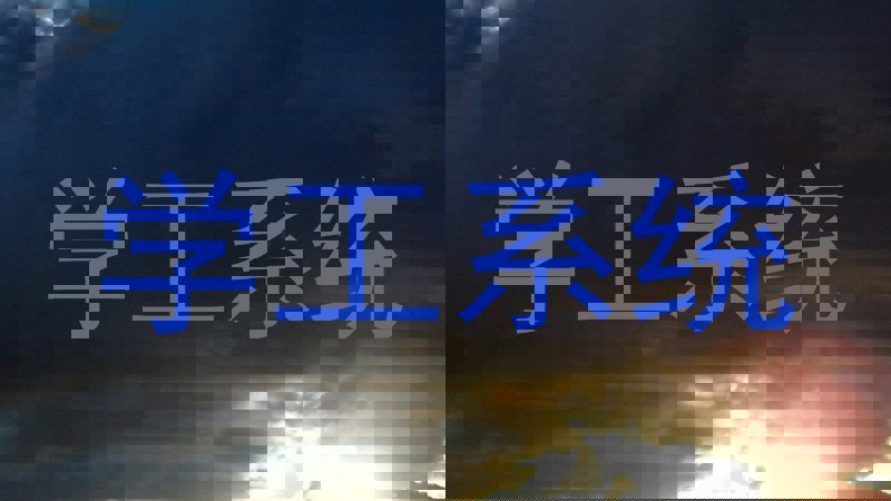 学工系统