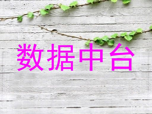 数据中台