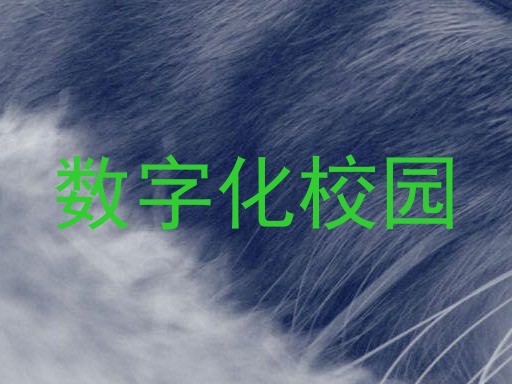 数字化校园