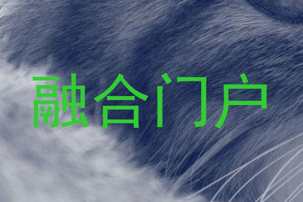 融合门户