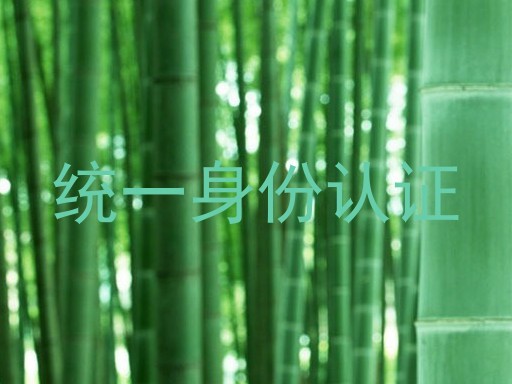 统一身份认证