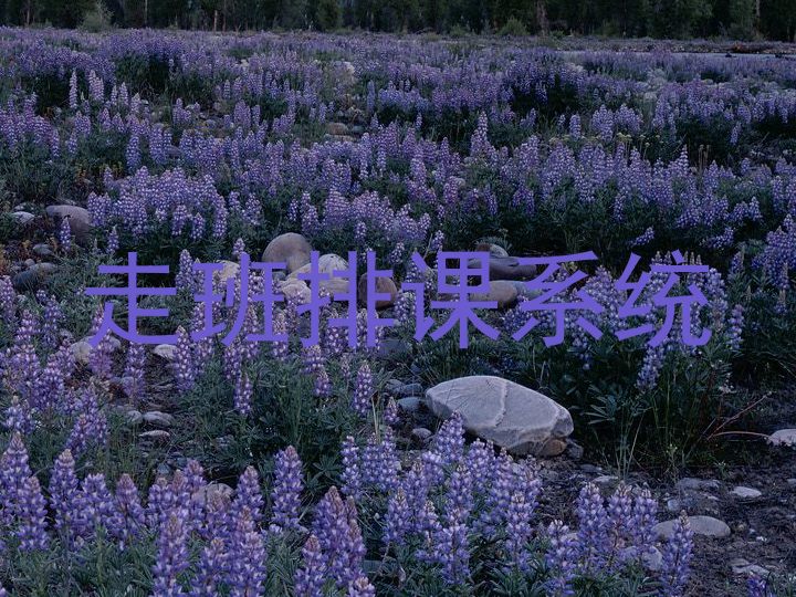 走班排课系统