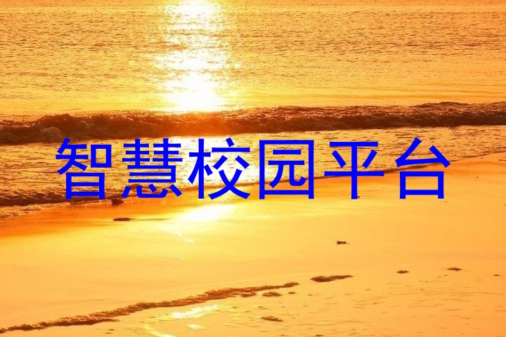 智慧校园平台