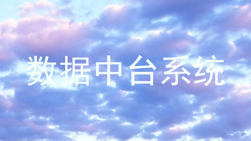 数据中台系统