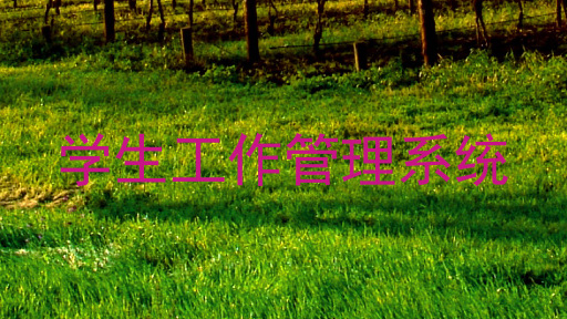 学生工作管理系统