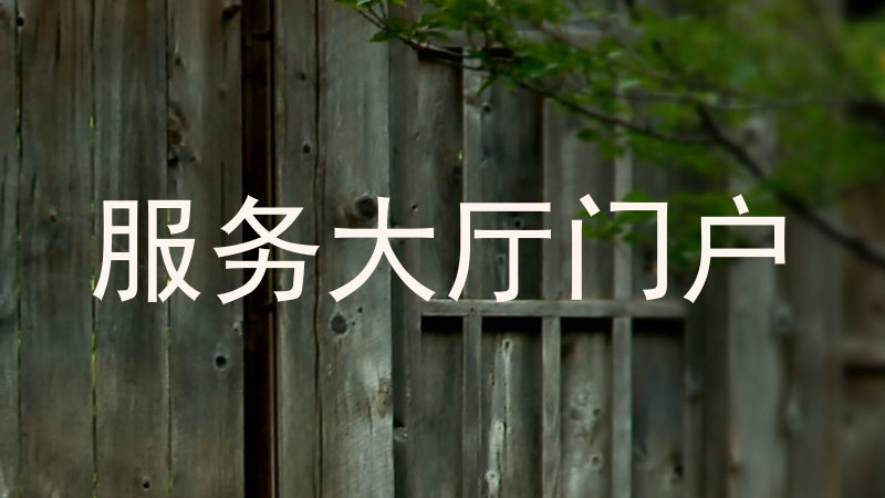 服务大厅门户