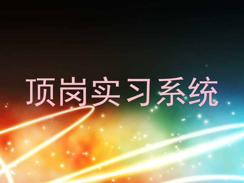 顶岗实习系统