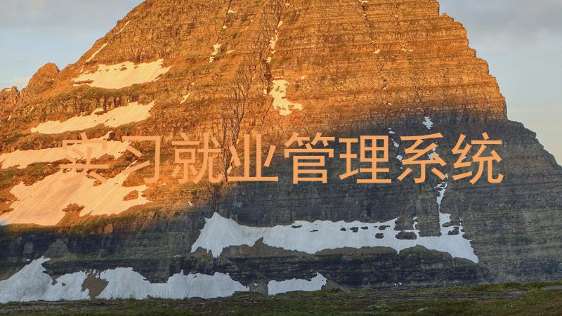 实习就业管理系统