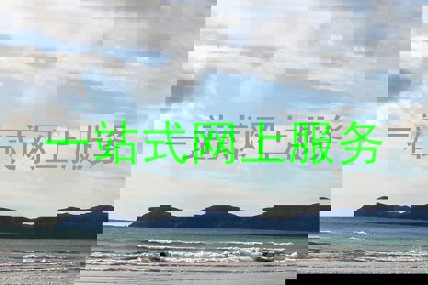 一站式网上服务