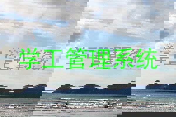 学工管理系统
