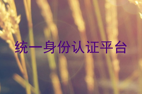 统一身份认证平台