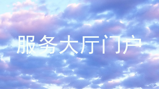 服务大厅门户