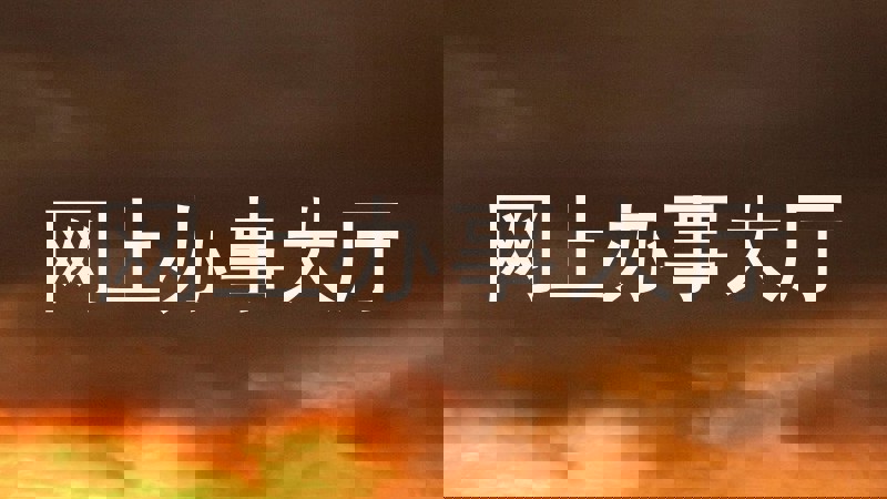 网上办事大厅