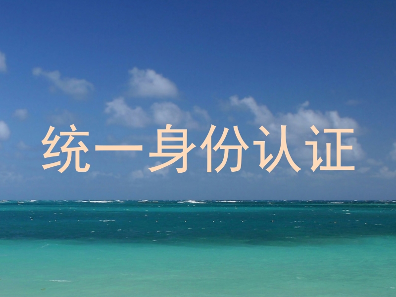 统一身份认证