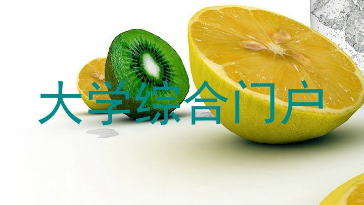 大学综合门户