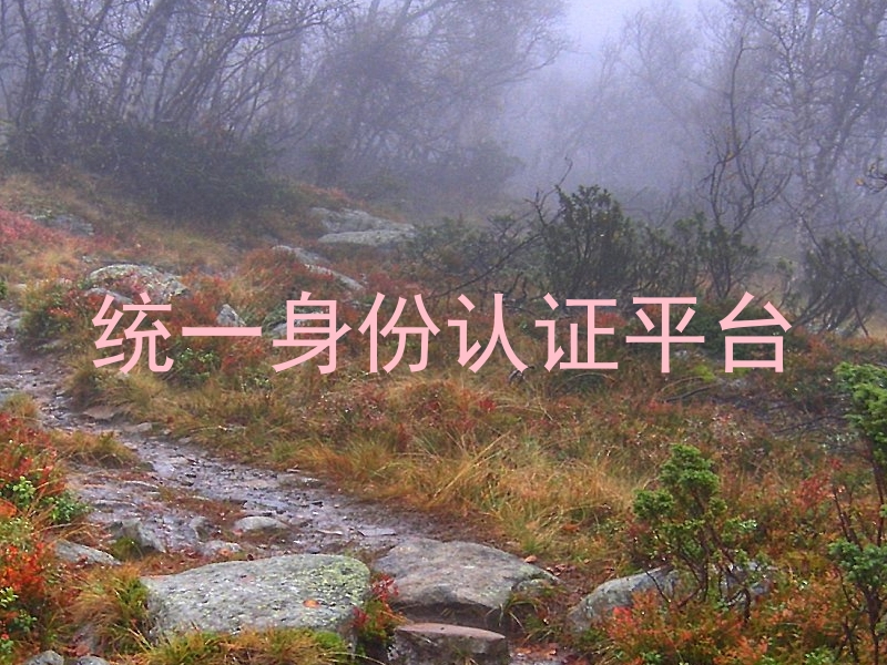 统一身份认证平台