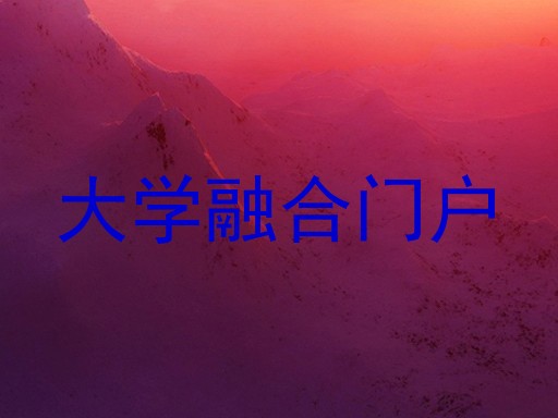 大学融合门户