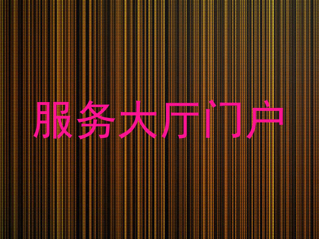 服务大厅门户