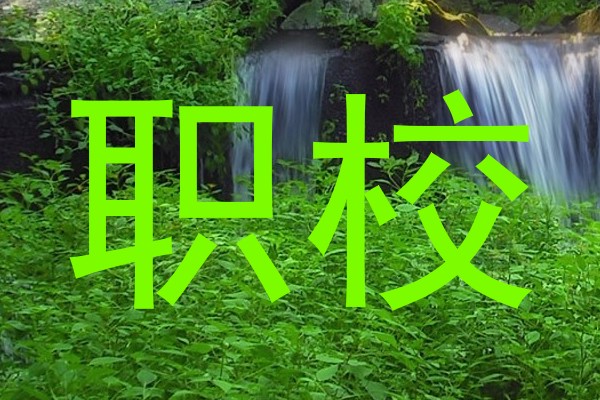 职校