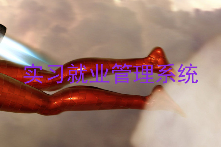 实习就业管理系统