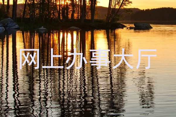 网上办事大厅