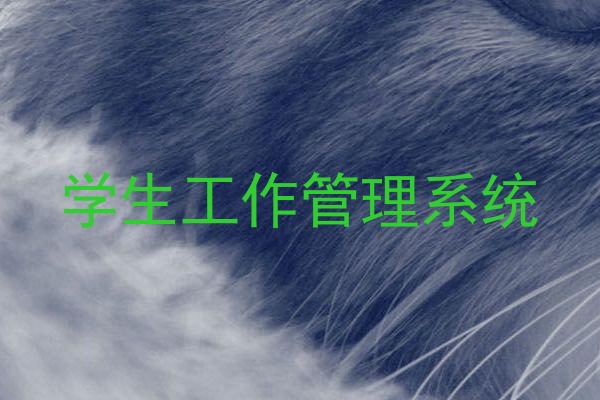 学生工作管理系统