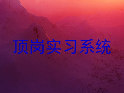 顶岗实习系统