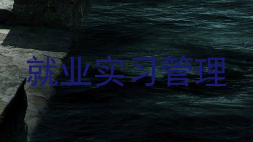 就业实习管理