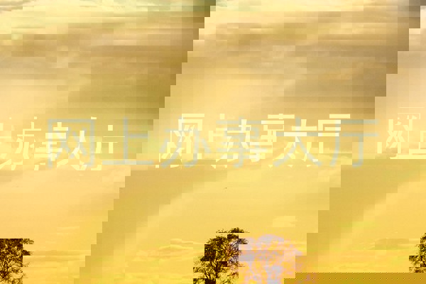 网上办事大厅