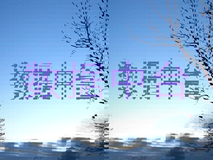 数据中台