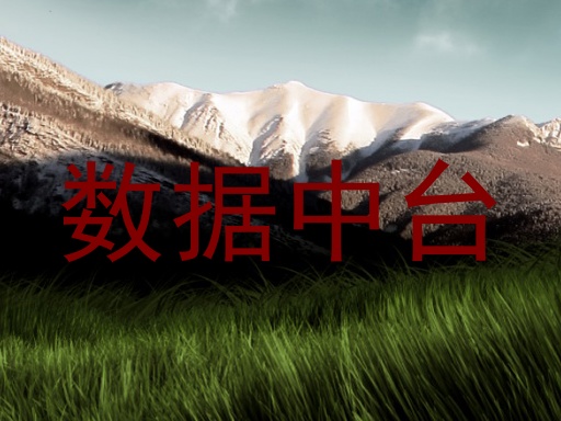 数据中台