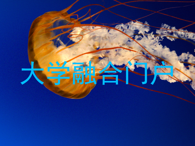 大学融合门户