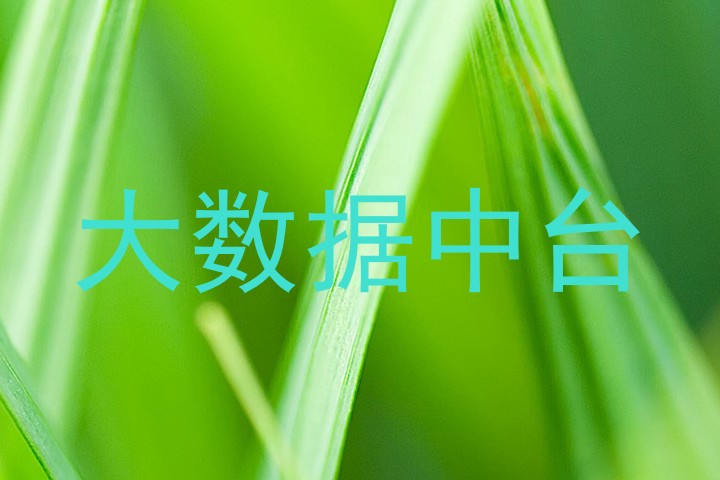 大数据中台