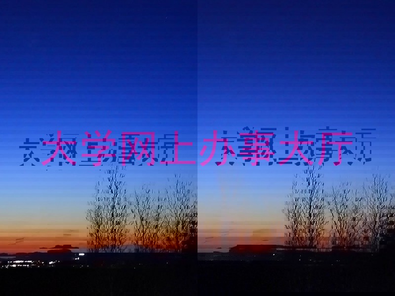 大学网上办事大厅