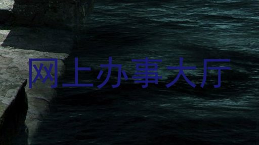 网上办事大厅