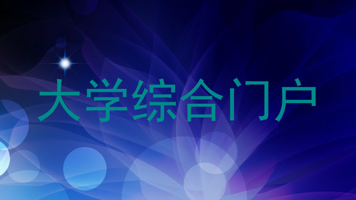 大学综合门户