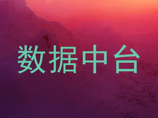 数据中台