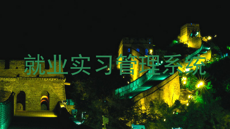 就业实习管理系统