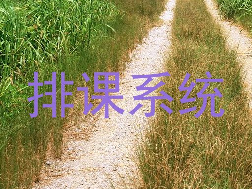 排课系统