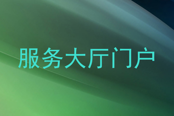 服务大厅门户