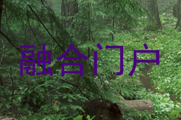 融合门户